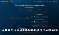 比特派怎么买币？详细指南与常见问题解答