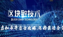 2023年国内虚拟币平台全攻略：选择最适合你的投