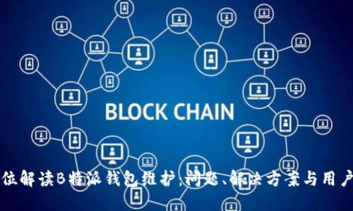 全方位解读B特派钱包维护：问题、解决方案与用户指南