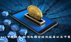 Bitkeep下载指南：如何选择合适的版本以及下载步