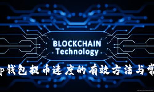 提升Bitkeep钱包提币速度的有效方法与常见问题解析