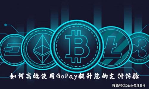 如何高效使用GoPay提升您的支付体验