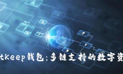 深入了解BitKeep钱包：多链支持的数字资产管理平台