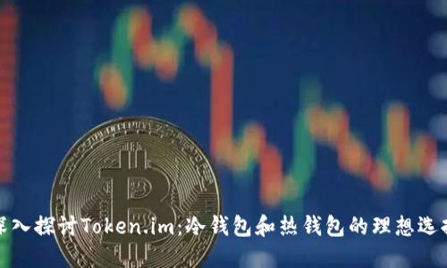 深入探讨Token.im：冷钱包和热钱包的理想选择