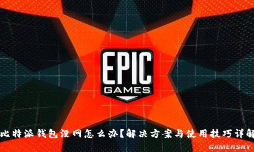 比特派钱包没网怎么办？解决方案与使用技巧详解